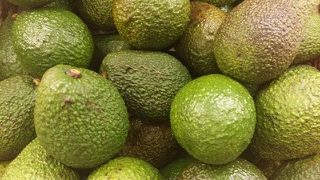 南伊豆アボカドPrj. 2018秋の現地訪問のお知らせ