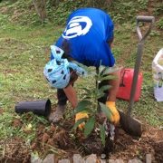 南伊豆アボカドプロジェクト 第2回植樹祭のお知らせ