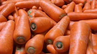 人参（ニンジン） – Veggiepedia