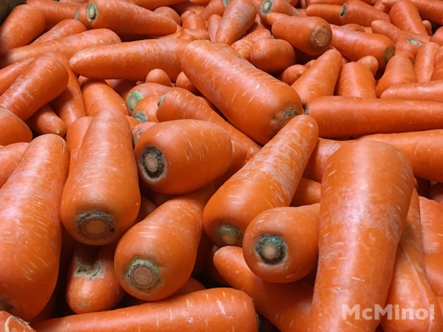 人参（ニンジン） – Veggiepedia | 業務用オーガニック有機野菜なら