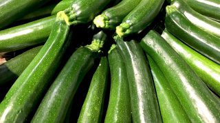 ズッキーニ – Veggiepedia