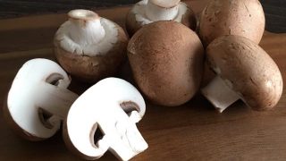 ブラウンマッシュルーム brown mushroom