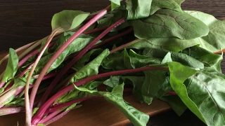 赤軸ほうれん草 red stem spinach