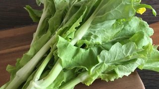 菜の花（山東菜） bekana flowers