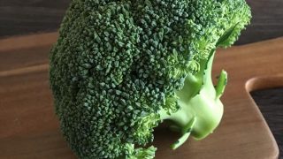 ブロッコリー broccoli
