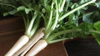 葉大根 baby Japanese radish