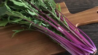 ふじ色水菜 purple mizuna