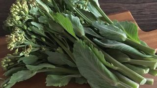 菜の花（キャベツ） cabbage flowers