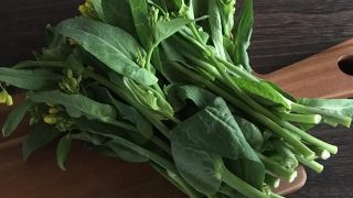 菜の花（野沢菜） nozawana flowers