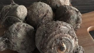 里芋 taro