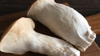 エリンギ eryngii