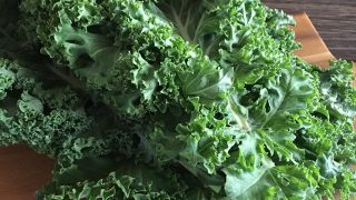 サラダケール kale