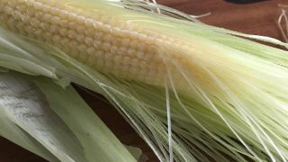 ヤングコーン baby corn