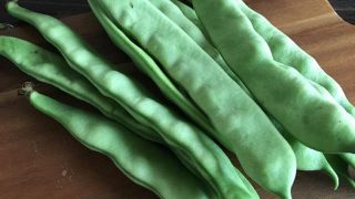 モロッコインゲン flat beans