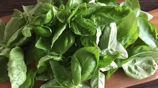 バジル basil