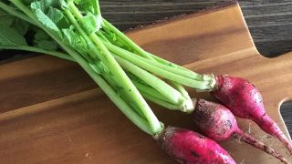 ラディッシュ radish