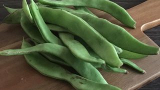 幅広インゲン wide green beans