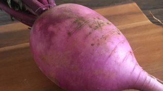 紫大根 purple radish