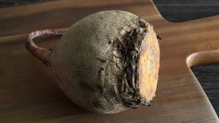 ビーツ（黄） yellow beetroot