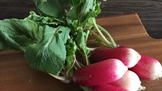 フレンチミニ大根 French breakfast radish