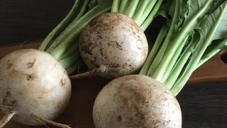カブ turnip