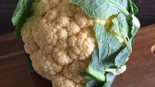 カリフラワー cauliflower