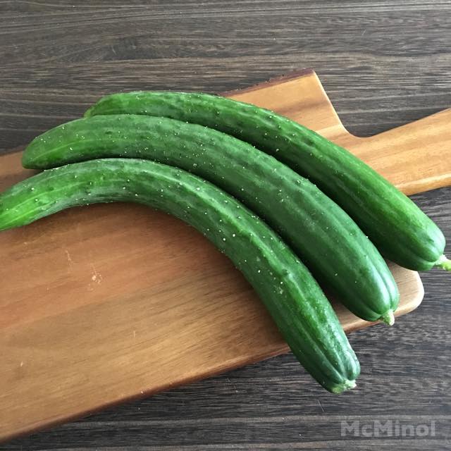 キュウリ – Veggiepedia | 業務用オーガニック有機野菜なら「ビオ