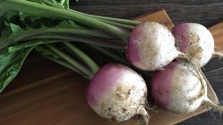 紅芯大根 watermelon radish