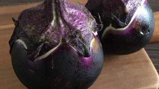 丸ナス round eggplant