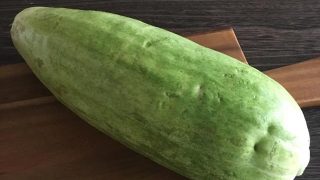 シロウリ shirouri gourd