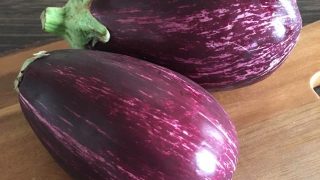 ゼブラナス zebra eggplant
