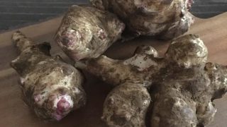 菊芋 Jerusalem artichoke