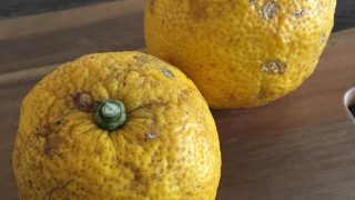 ユズ yuzu