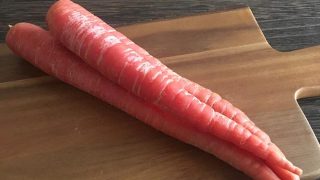 金時ニンジン kintoki carrot