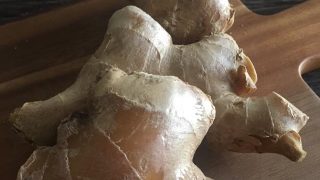 ショウガ ginger