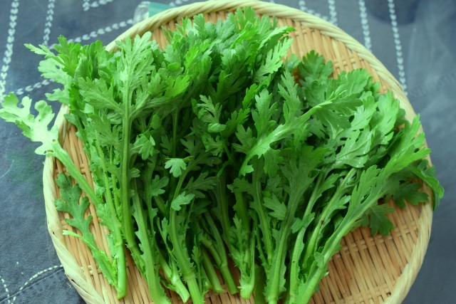 春菊 – Veggiepedia | 業務用オーガニック有機野菜なら「ビオ