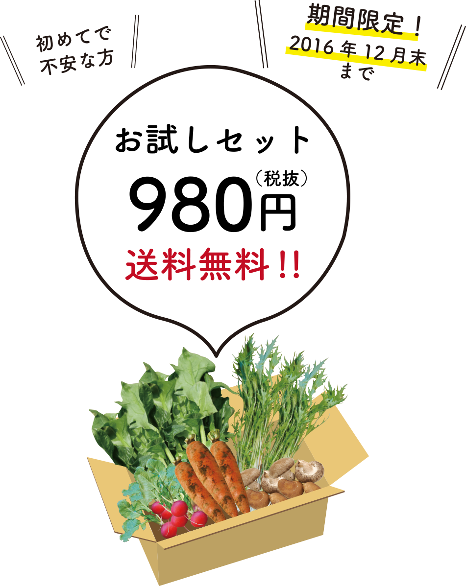 お試しセット980円（税込）送料無料