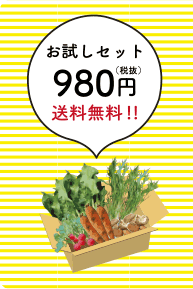 お試しセット　980縁（税抜）　送料無料！！